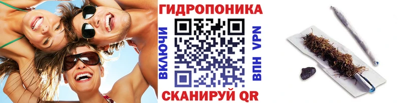 Каннабис Олонец