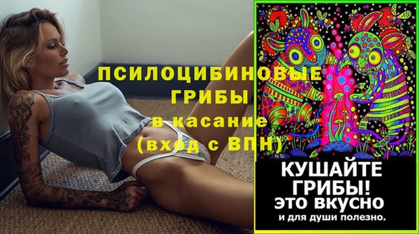 МДПВ Алзамай