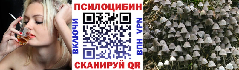 МЕГА как войти  Олонец  Галлюциногенные грибы Magic Shrooms 